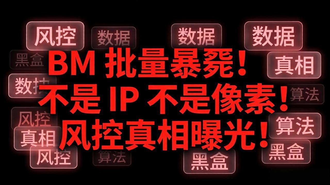 BM 批量暴毙！不是 IP 不是像素！风控真相曝光！